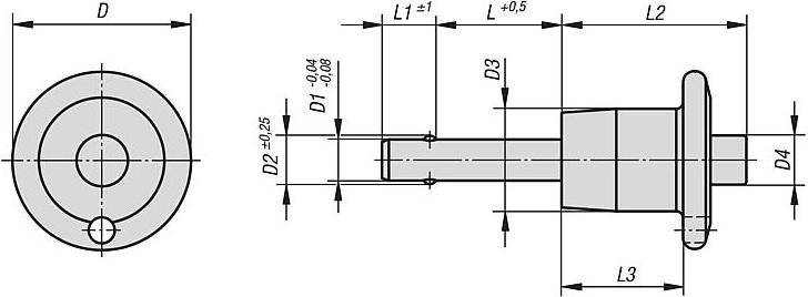 k0641_palcy_chertezh.jpg k0641_palcy_chertezh.jpg